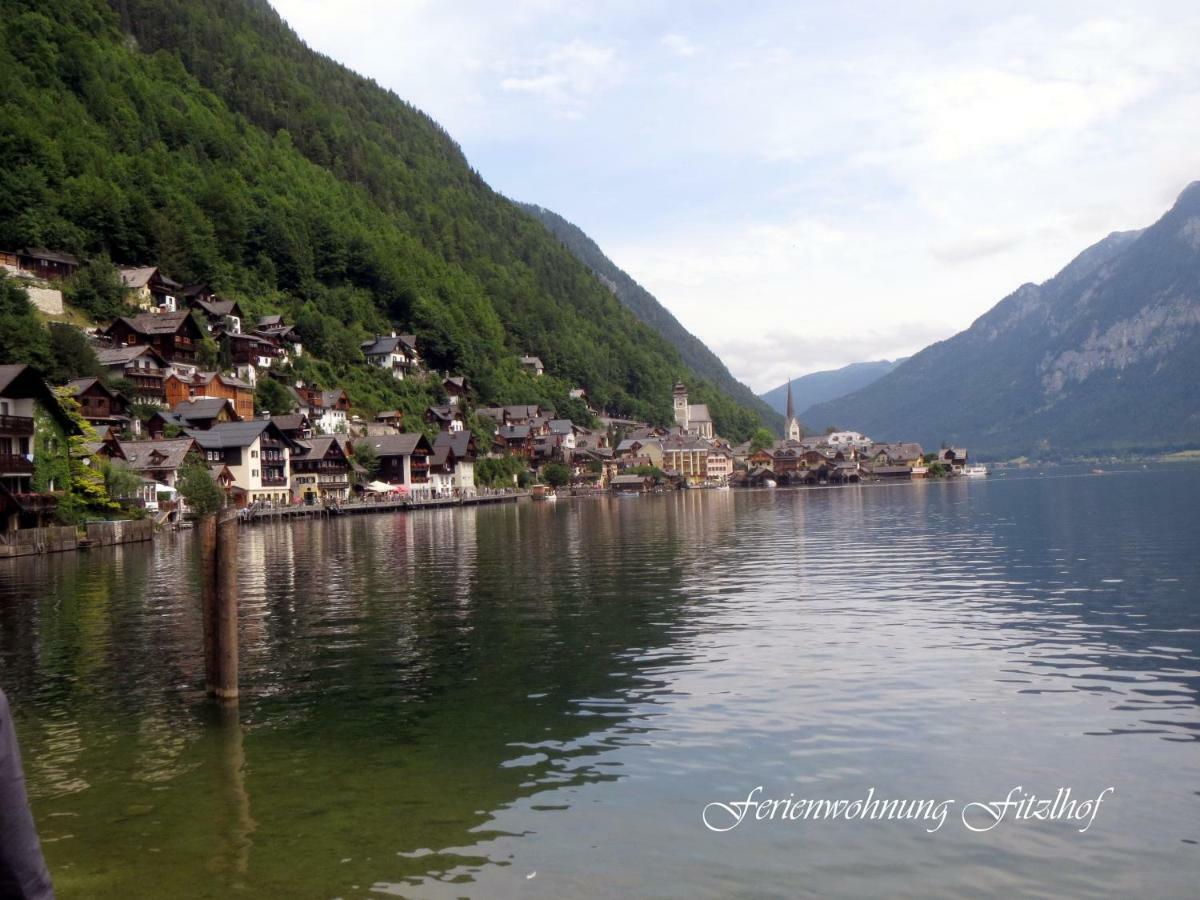 Fitzlhof Apartment Sankt Koloman ภายนอก รูปภาพ