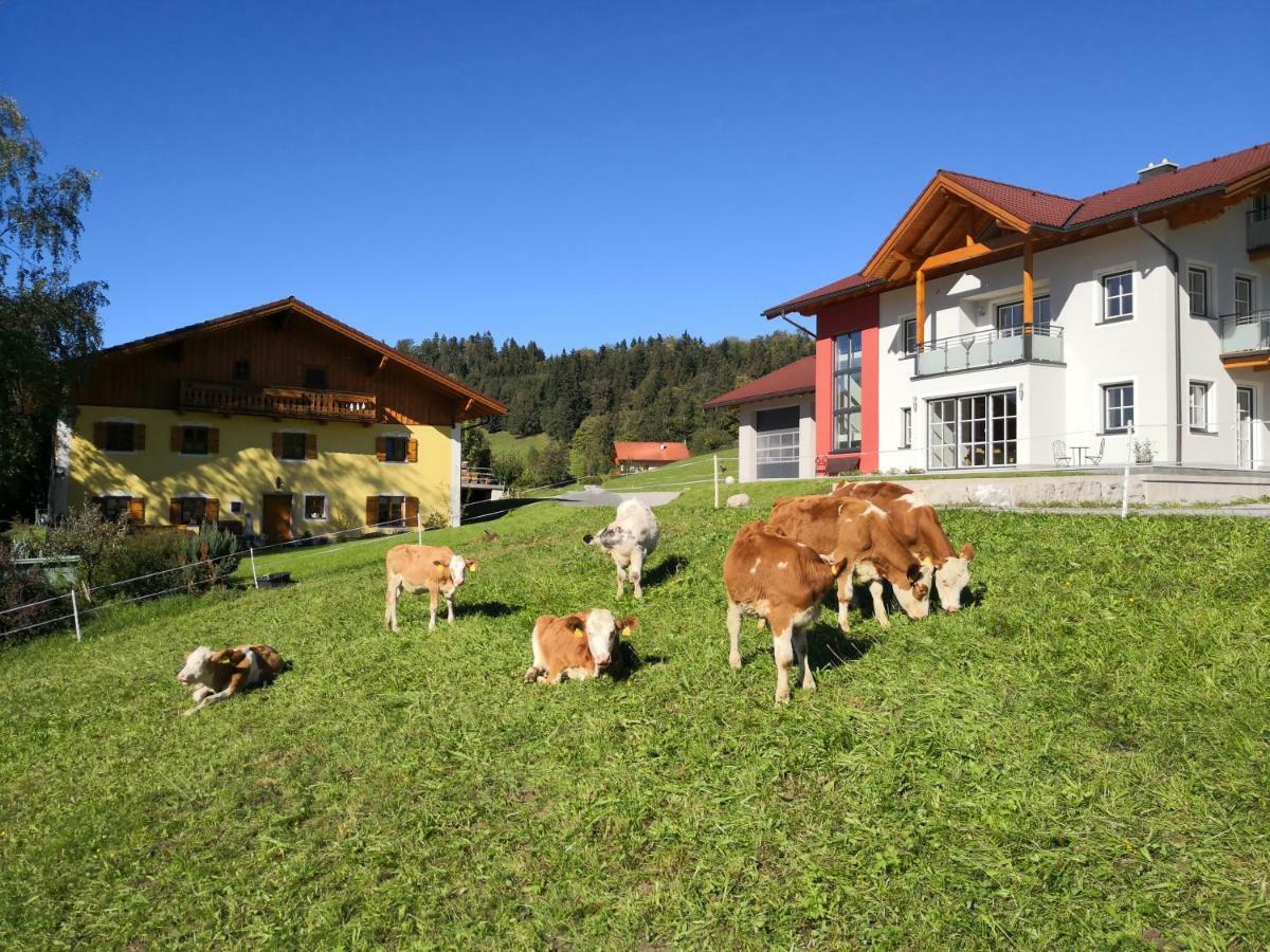 Fitzlhof Apartment Sankt Koloman ภายนอก รูปภาพ