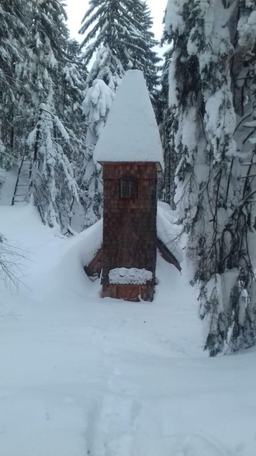 Fitzlhof Apartment Sankt Koloman ภายนอก รูปภาพ